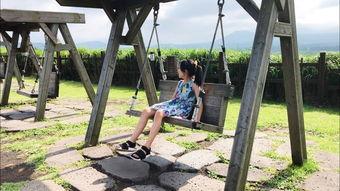 51朝阳吃瓜 网红大秋千