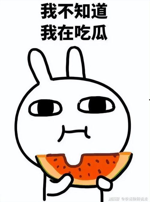 瓜瓜吃瓜ppt,揭秘PPT中的趣味与智慧